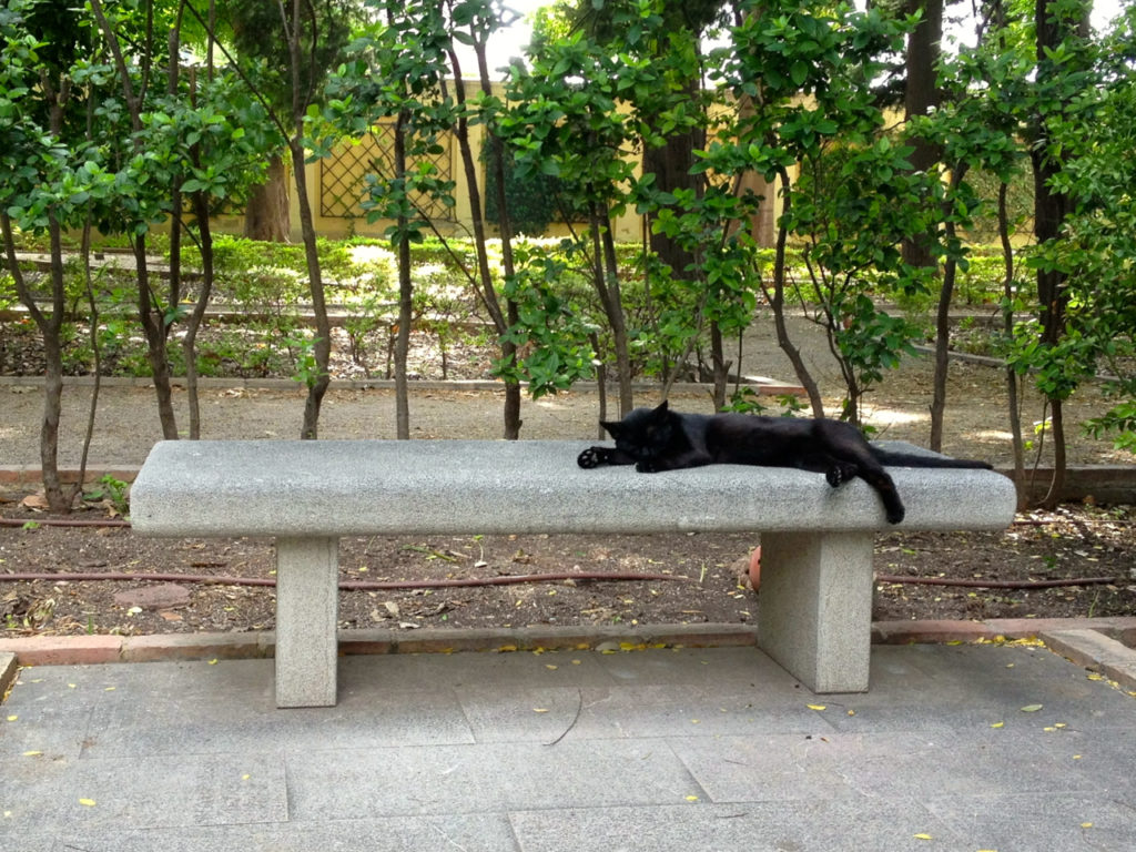 chat